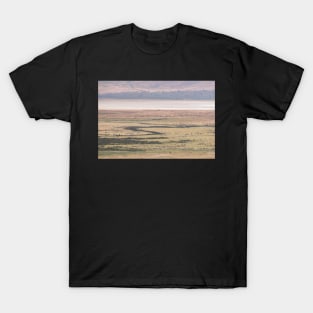 Ngorogoro Crater #4 T-Shirt